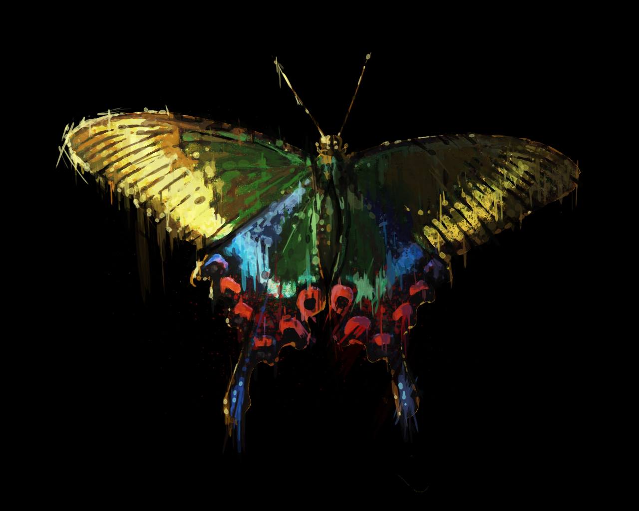 Maia Zeidan « la force du papillon »